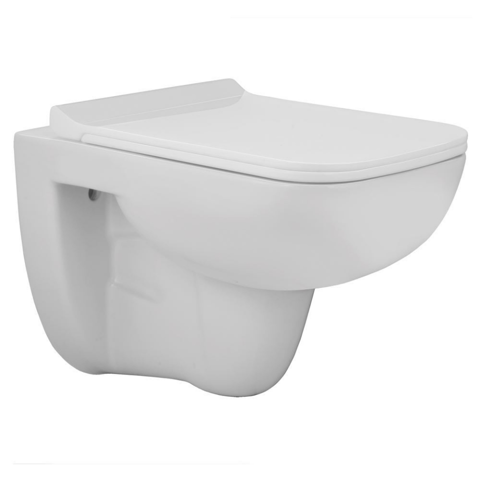 Rimless Wall  Hung WC